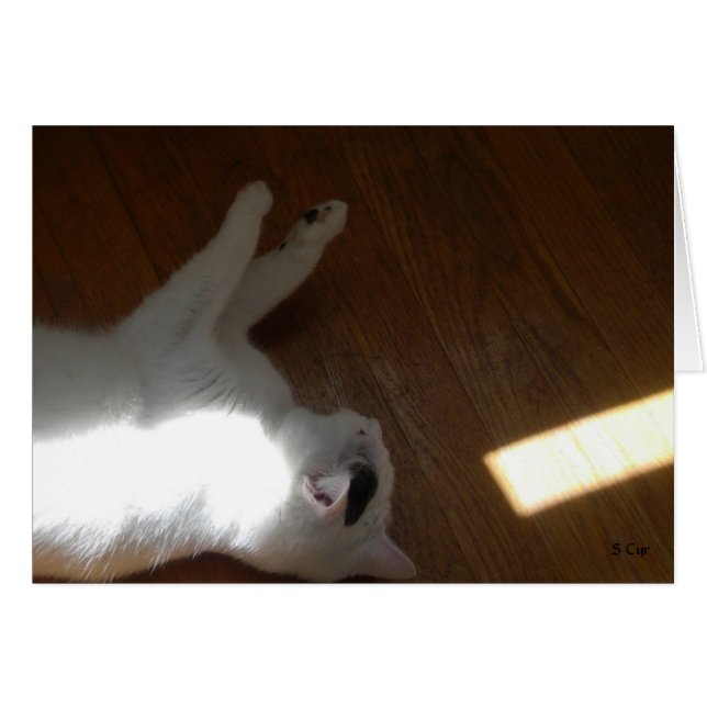 Ray of Light, S Cyr (Devant horizontal)