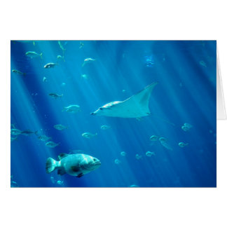 Rayon de Sting de flottement