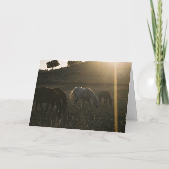 Rayons de soleil de ciel - carte de voeux de photo (Devant)