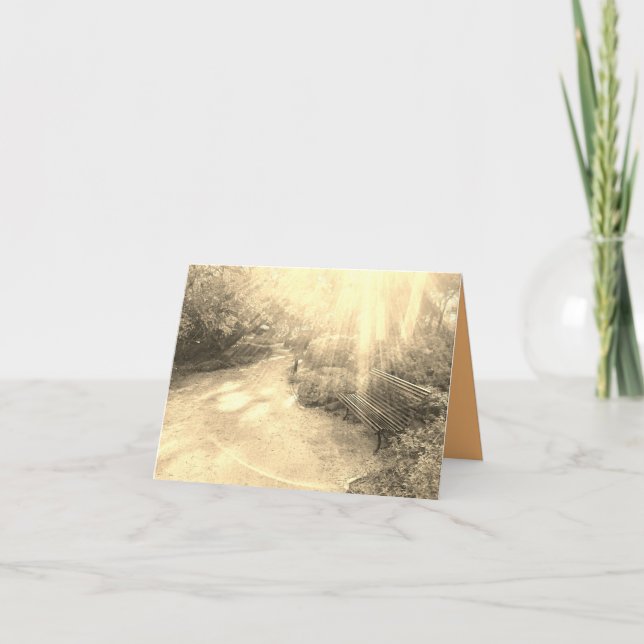 Rayons lumineux et carte de banc (Devant)