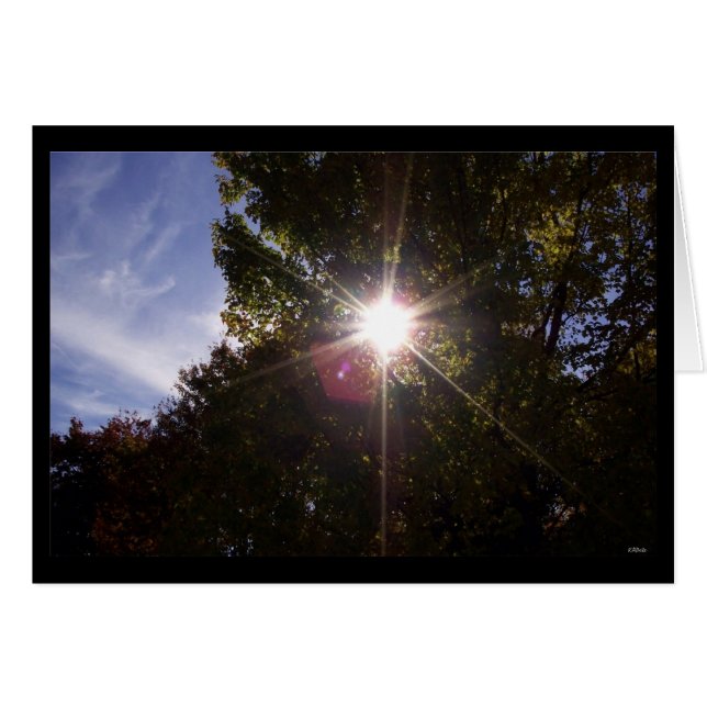 Rayons solaires (bordés de noir) (Devant horizontal)
