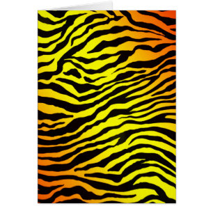 Rayures de tigre (portrait)