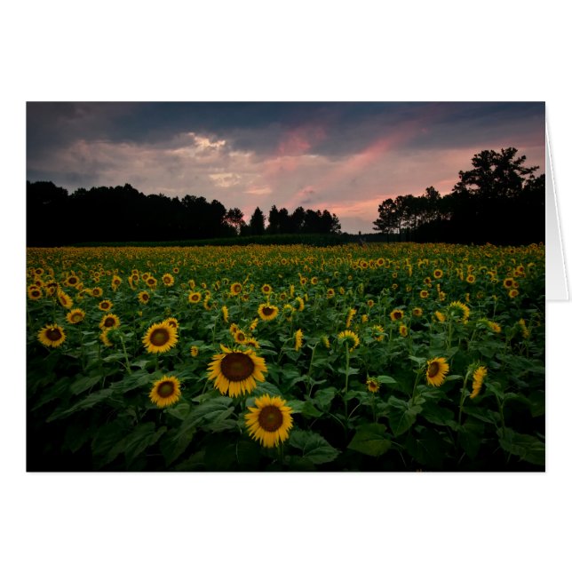 RCD_6002_3_4 (Devant Horizontal)
