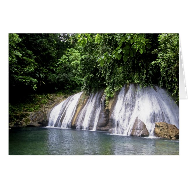 Reach Falls, Port Antonio, Jamaïque (Devant horizontal)