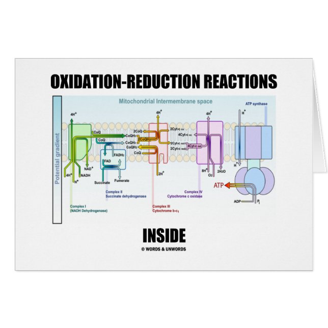 Réactions d'oxydation/réduction à l'intérieur (Devant horizontal)