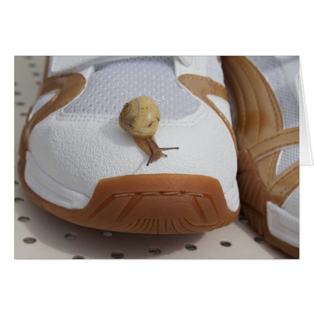 Ready For Snail Racing (Devant horizontal)