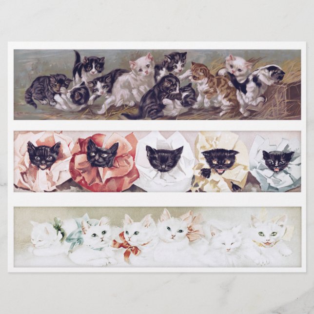 Real (not AI) Long Victorian Era Cat Illustrations (Devant)
