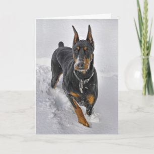 Receveur de Snowball de carte de vacances de