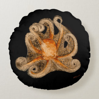 Recherchant un coussin rond de polyester