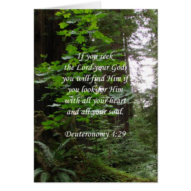 Recherche de ~ de 4h29 de Deuteronomy le seigneur (Devant)