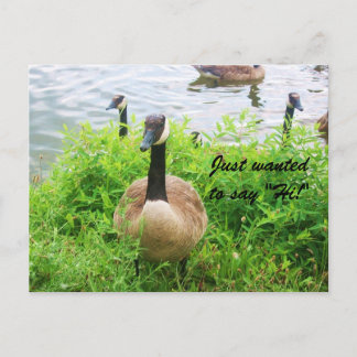 RECHERCHÉ DE DIRE "SALUT !" carte postale