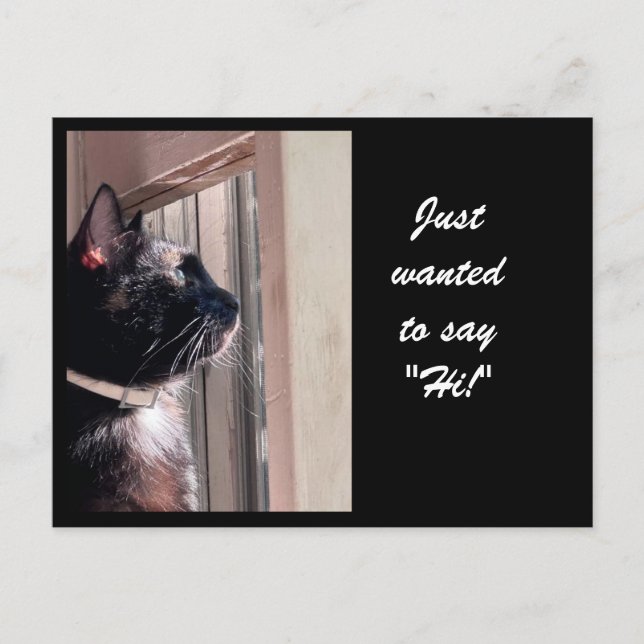 RECHERCHÉ DE DIRE "SALUT !" Carte postale Kitty (Devant)