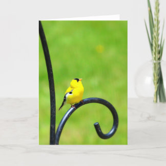 Recherche de la carte de voeux