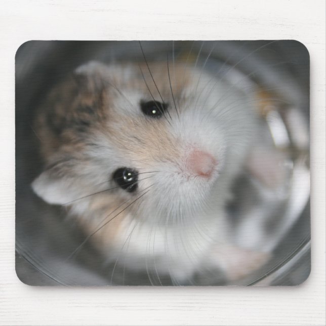 Recherche - du tapis de souris de Tac (Devant)