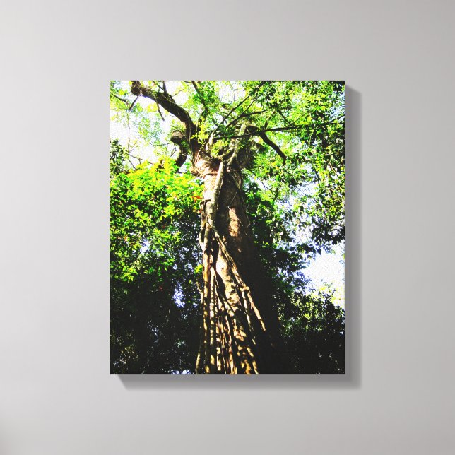 Recherche d'un grand arbre dans la forêt - Toile e (Recto)