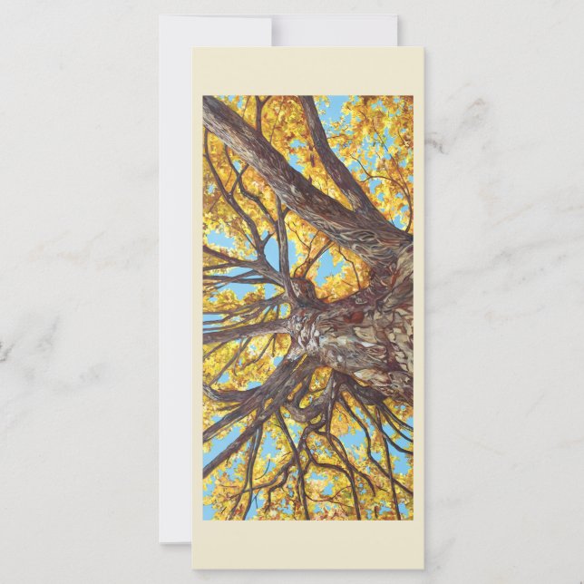 Recherche d'une carte plate (Devant)