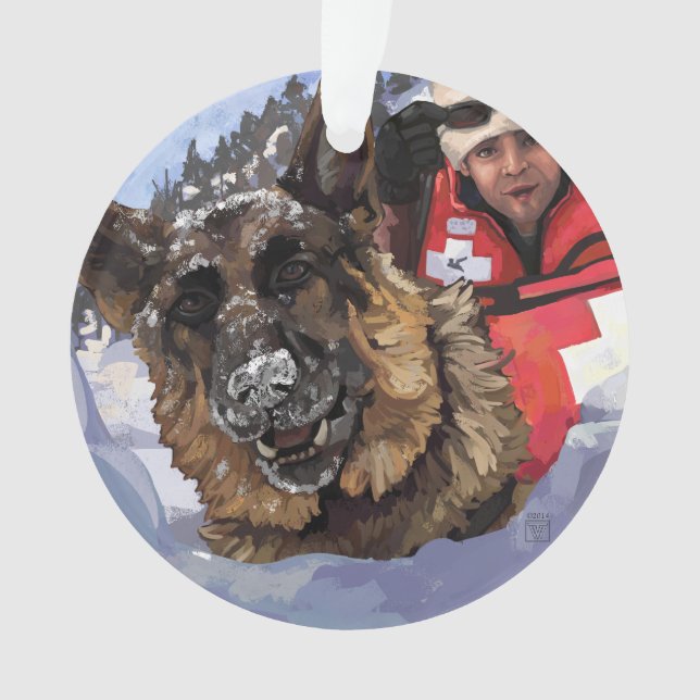 Recherche et sauvetage de Berger Allemand dans la  (devant)