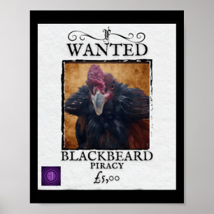 Recherché poulet Barbe Noire Affiche de pirate drô