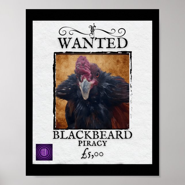 Recherché poulet Barbe Noire Affiche de pirate drô (Devant)