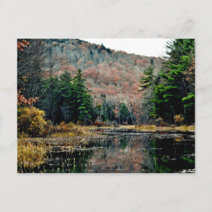 Rechercher et rechercher une carte postale