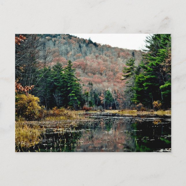Rechercher et rechercher une carte postale (Devant)
