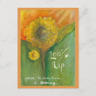 Rechercher une carte postale