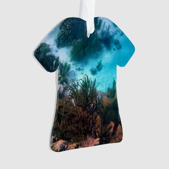 Récif de Bonairean (devant)