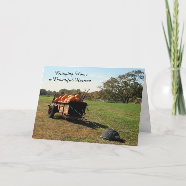 Récolte citrouille - Carte Thanksgiving (Devant)