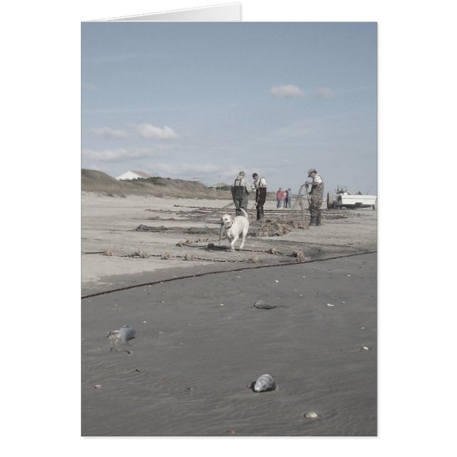 Récolte d'automne (Devant)