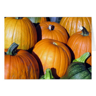 Récolte de citrouille