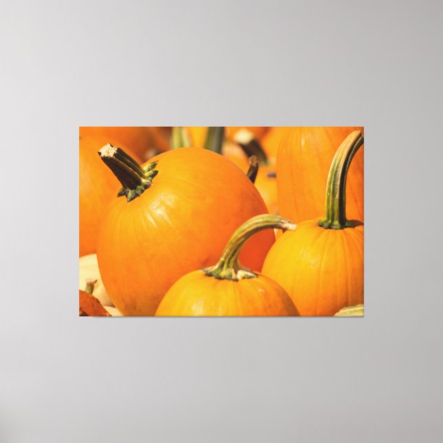 RÉCOLTE DE CITROUILLES 60 X 40 TOILE EMBALLÉE (Recto)