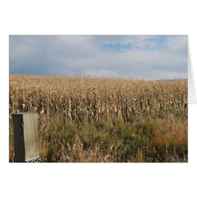 Récolte de maïs d'automne (Devant horizontal)