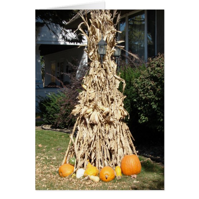 Récolte du poste léger (Devant)