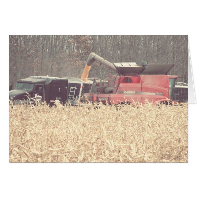 Récolte vintage (Devant horizontal)