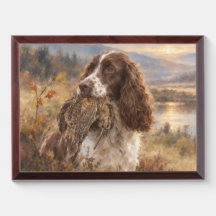English Springer Spaniel