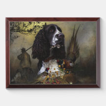 English Springer Spaniel