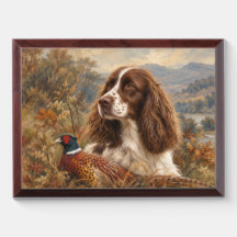 English Springer Spaniel