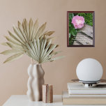 Récompense Prière Sérénité Pink Peony Fleuve Floral<br><div class="desc">La plaque murale en bois présente l'image d'une fleur rose Peony suspendue au-dessus d'un banc de parc en bois,  ainsi que les paroles inspirantes de la prière de sérénité. Un joli design floral ! Sélectionnez la taille de la plaque murale. Un cadeau attentionné pour la famille et les amis!</div>