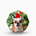 Récompense Santa Hat Bulldog Christmas Tree Snowman boîte cad<br><div class="desc">Mignonne photo Bulldog avec boîte cadeau de Noël Tree Snowman en arrière - plan. Un cadeau parfait pour Noël !</div>