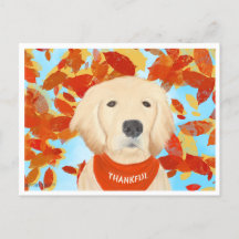 Reconnaissant - Tombant dans ma vie Carte postale