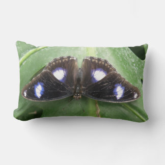 Rectangle Beau Coussin à papillon bleu tacheté