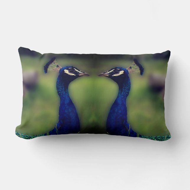Rectangle Beau Peacock Photo Lumbar Coussin (Recto)