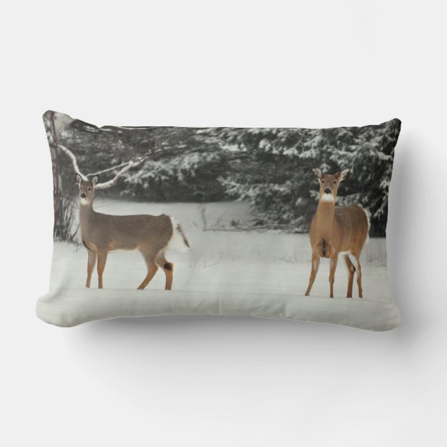 Rectangle Cerfs communs dans le coussin de neige (Recto)