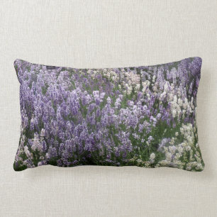 Rectangle Champ de coussin de lavande