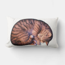 Chat enroulé en dormant mignon coussin lombaire co