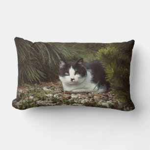 Rectangle Chat Shorthair - Coussin