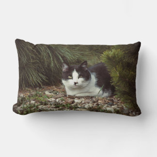 Rectangle Chat Shorthair - Coussin