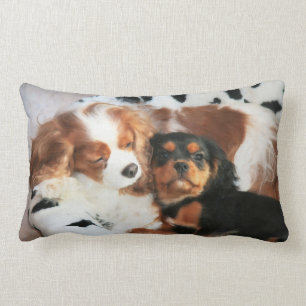Rectangle Chien Et Chiot Cavalier Roi Charles Coussin Spanie