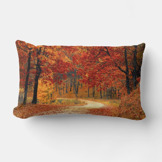 Rectangle Couleurs saisonnières du coussin lombaire d'automn (Recto)