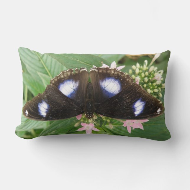 Rectangle Coussin à papillon tacheté bleu (Recto)